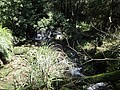DSC01273.JPG