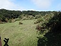 DSC01277.JPG