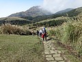 DSC01281.JPG