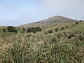 DSC01282.JPG