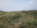 DSC01283.JPG