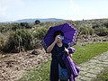 DSC01284.JPG