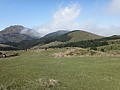DSC01292.JPG