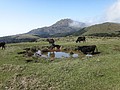 DSC01293.JPG