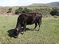 DSC01295.JPG