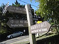 DSC01299.JPG