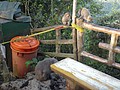 DSC01406.JPG