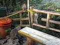 DSC01407.JPG