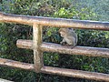 DSC01409.JPG