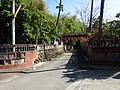 DSC01461.JPG