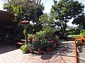 DSC01482.JPG