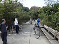 DSC01503.JPG