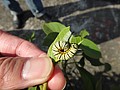 DSC01512.JPG