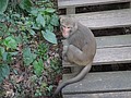 DSC01569.JPG