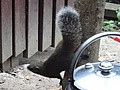 DSC01576.JPG