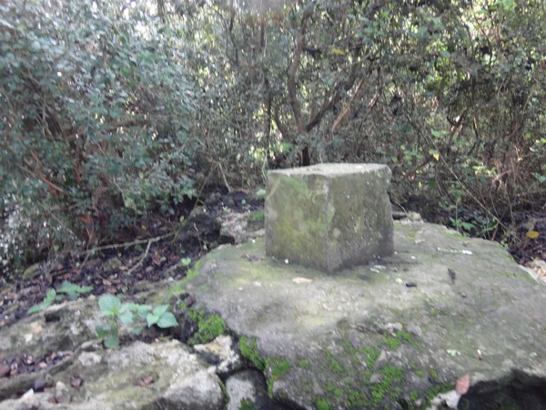 DSC01964.JPG