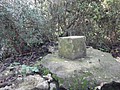 DSC01964.JPG