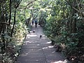 DSC01966.JPG