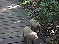 DSC01967.JPG