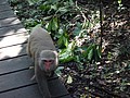 DSC01968.JPG