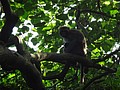 DSC01969.JPG