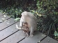 DSC01971.JPG