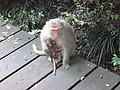 DSC01972.JPG