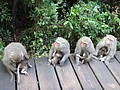 DSC01975.JPG