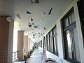 DSC02203.JPG