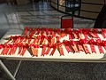 DSC02205.JPG