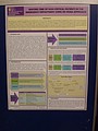 DSC02440.JPG