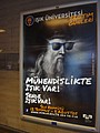 DSC02453.JPG