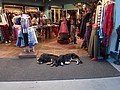 DSC02561.JPG