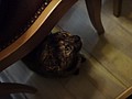 DSC02582.JPG