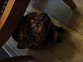 DSC02583.JPG