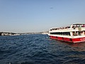 DSC02701.JPG