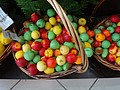 DSC02745.JPG