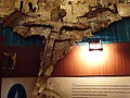 DSC02840.JPG