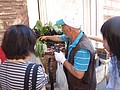 DSC02953.JPG