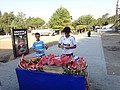 DSC03002.JPG