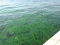DSC03026.JPG