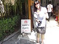 DSC03041.JPG