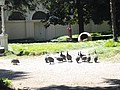 DSC03044.JPG