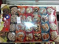 DSC03108.JPG