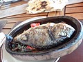 DSC03174.JPG