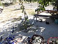 DSC03193.JPG