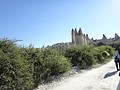 DSC03201.JPG