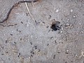 DSC03212.JPG