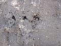 DSC03213.JPG