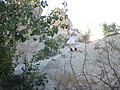 DSC03217.JPG